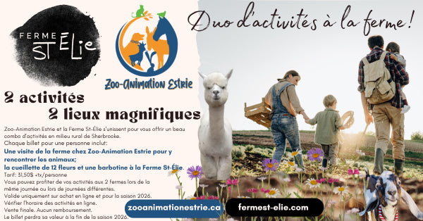 zooanimationestrie